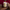 Caneca_Personalizada_Doge_450ml